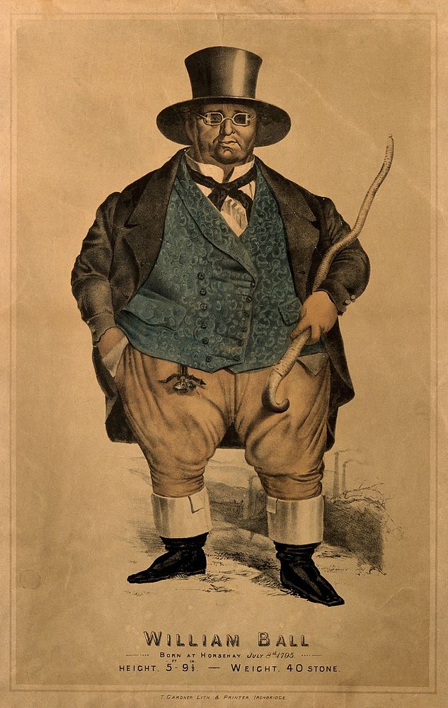 William Ball, a man weighing forty stone. Colour lithograph.