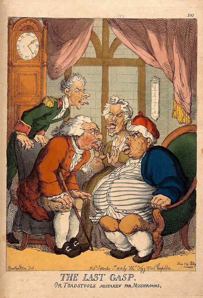 A doctor examining an obese man and his wife and servant for suspected food poisoning from toadstools. Coloured etching by…