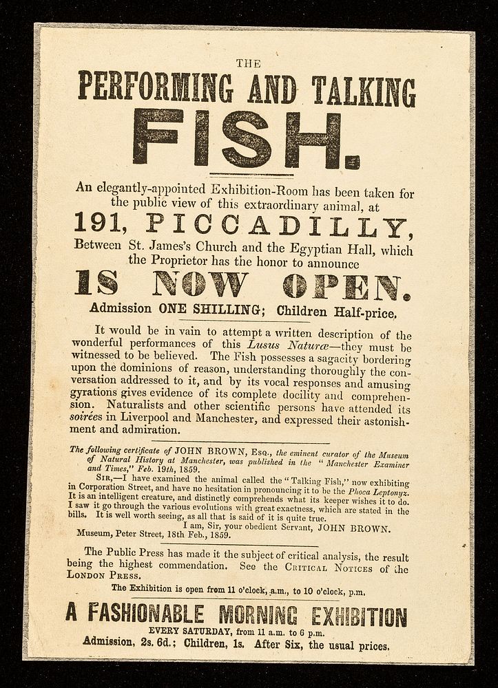 [Undated handbill (1859) advertising "The performing and talking fish", on exhibition at 191 Piccadilly, London].