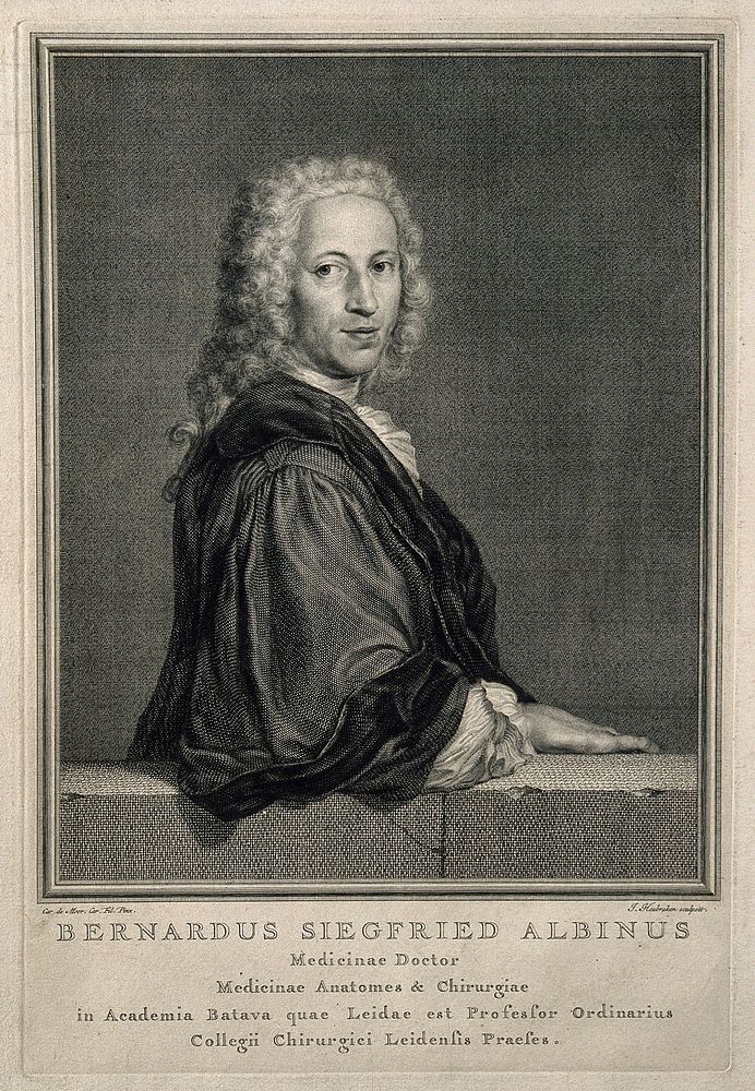 Bernhard Siegfried Albinus. Engraving by J. Houbraken after C. de Moor.