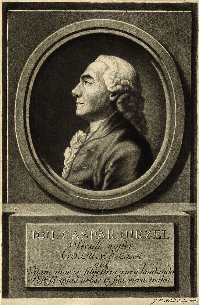 Johann Caspar Hirzel. Mezzotint by J. E. Haid, 1775.