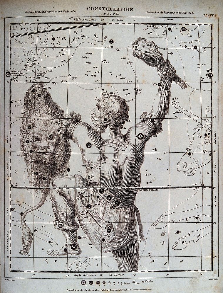 Astronomy: a chart of the constellation Orion. Engraving.