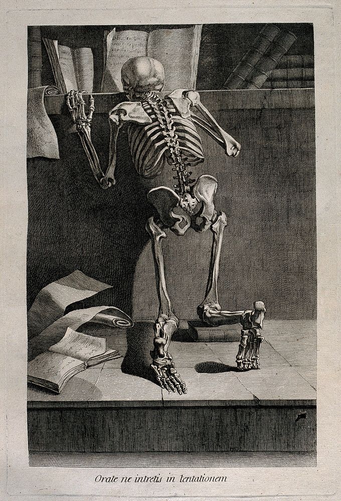 A kneeling skeleton, seen from behind, reading a book on a shelf. Etching by or after J. Gamelin, 1778/1779.