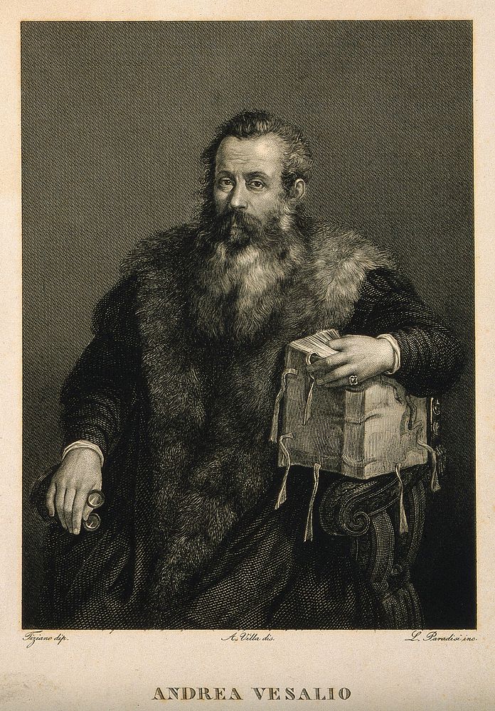 Andreas Vesalius. Line engraving by L. Paradisi after A. Villa after Titian .