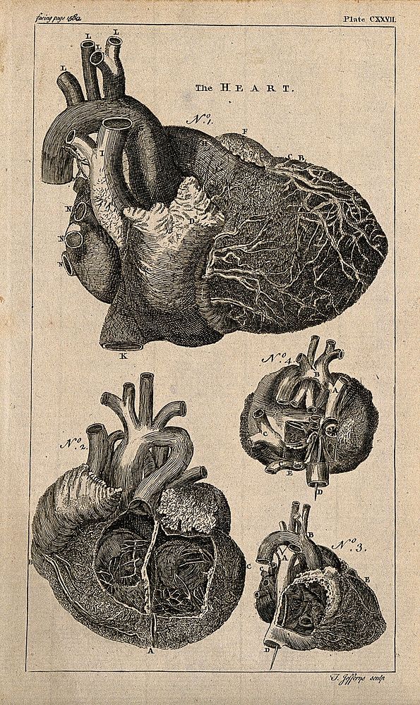 The heart: four figures. Engraving by T. Jefferys, ca. 1763.