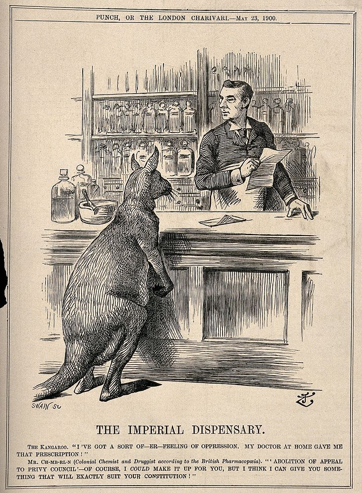 A pharmacist making up a prescription for a kangaroo; representing Chamberlain's advocacy of the Commonwealth of Australia.…