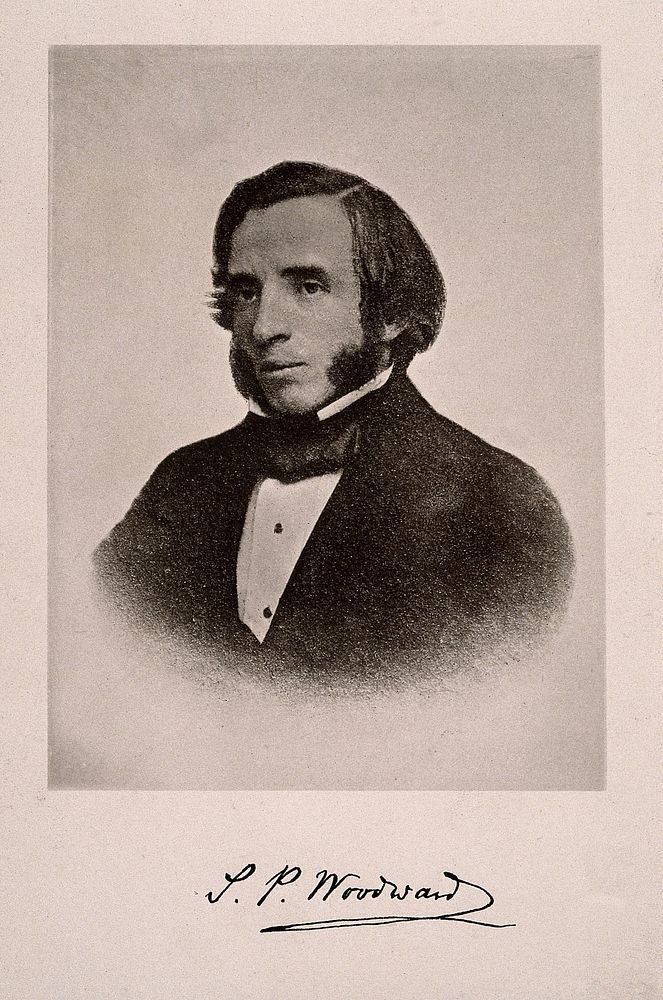 Samuel Pickworth Woodward. Reproduction of lithograph.