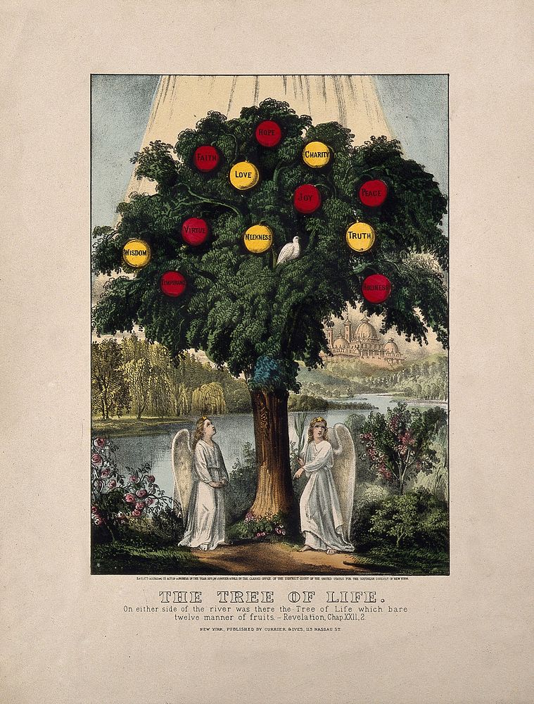 A tree bearing apples labelled with virtues; representing the life of Christian virtue. Coloured lithograph, 1870, after J.…