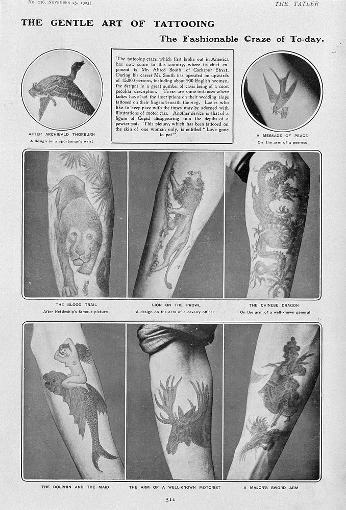 Six arms showing different designs of tattoo, and two smaller views of tattoos. Process print, 1903.