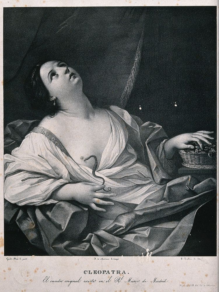The suicide of Cleopatra: Cleopatra lies on her bed clasping the tail of the asp that just bit her. Lithograph after Guido…