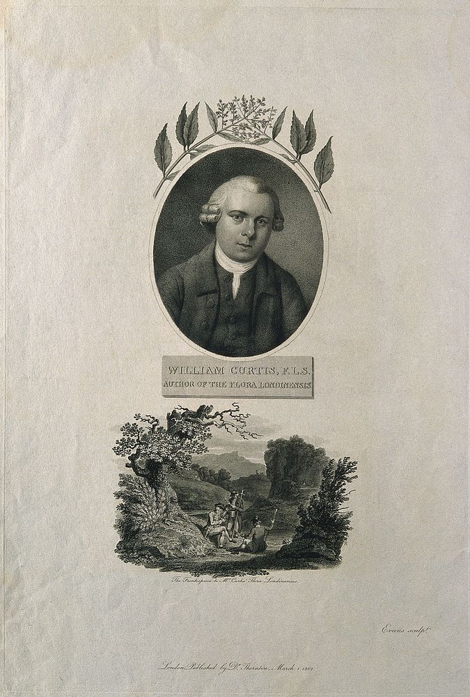 William Curtis: (above) portrait; below, Curtis and friends botanizing. Stipple engraving by W. Evans, 1802.