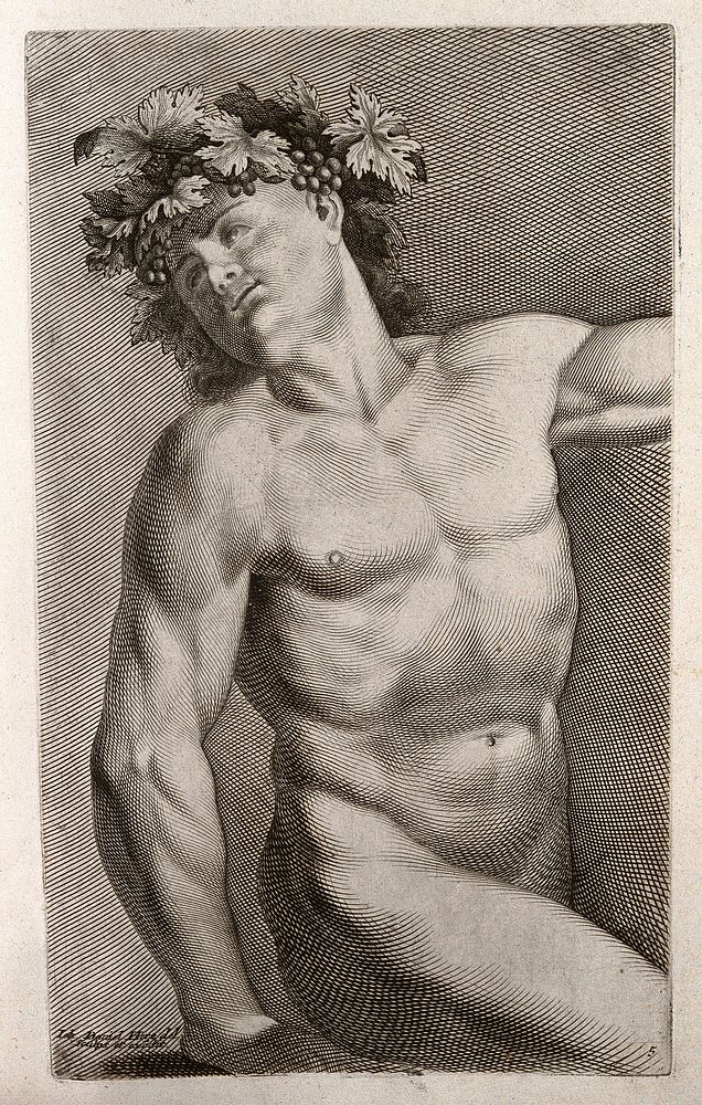 A young man, wreathed, in the nude. Engraving by J.D. Herz after himself, c. 1732.