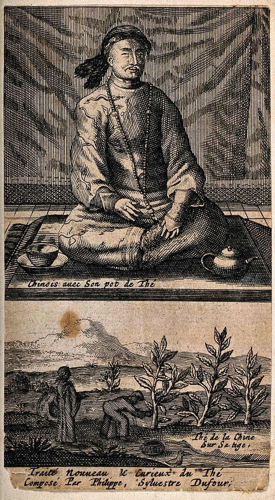 A Chinese man with his tea pot, and workers harvesting tea. Etching with engraving, c. 1693.