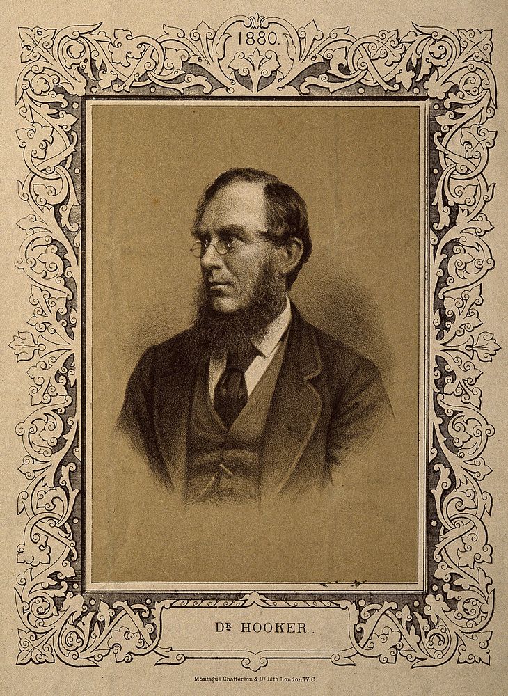 Sir Joseph Dalton Hooker. Lithograph, 1880.