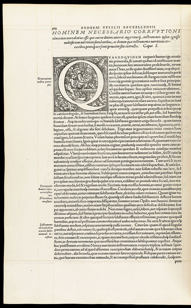 Andreae Vesalii Bruxellensis, scholae medicorum Patauinae professoris De humani corporis fabrica libri septem.