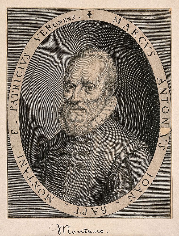 Johannes Baptista Montanus (Giovanni Battista da Monte). Line engraving by D. Custos.