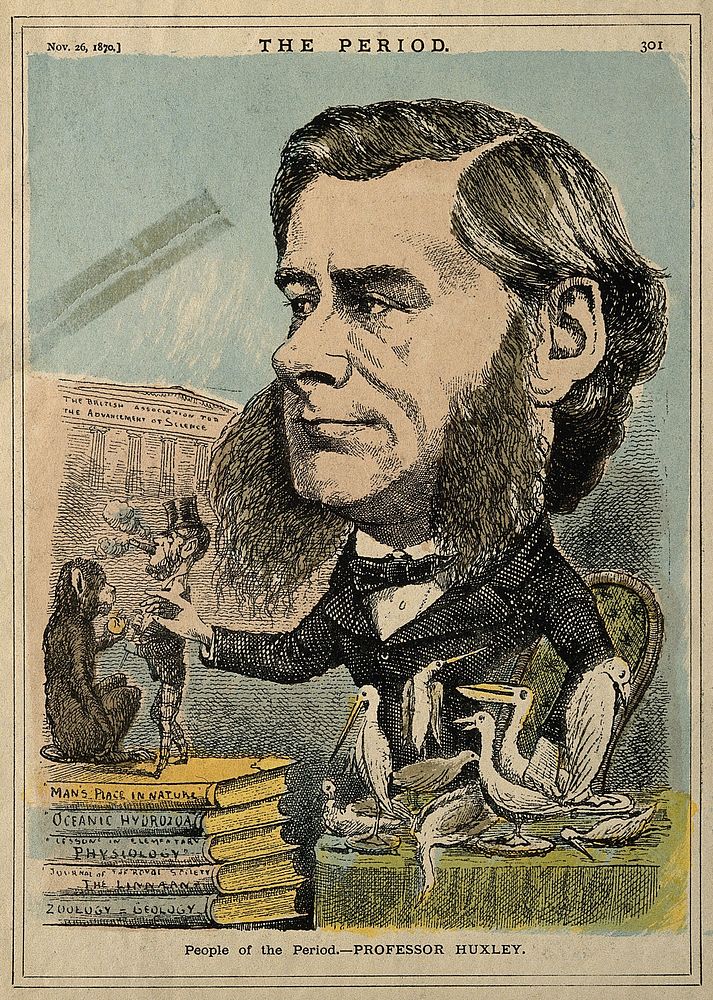 Thomas Henry Huxley. Coloured wood engraving, 1870.
