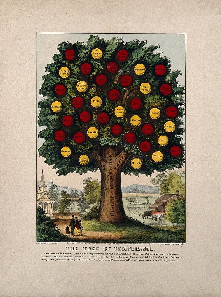The tree of temperance, showing benefits caused by healthy living. Coloured lithograph, 1872.