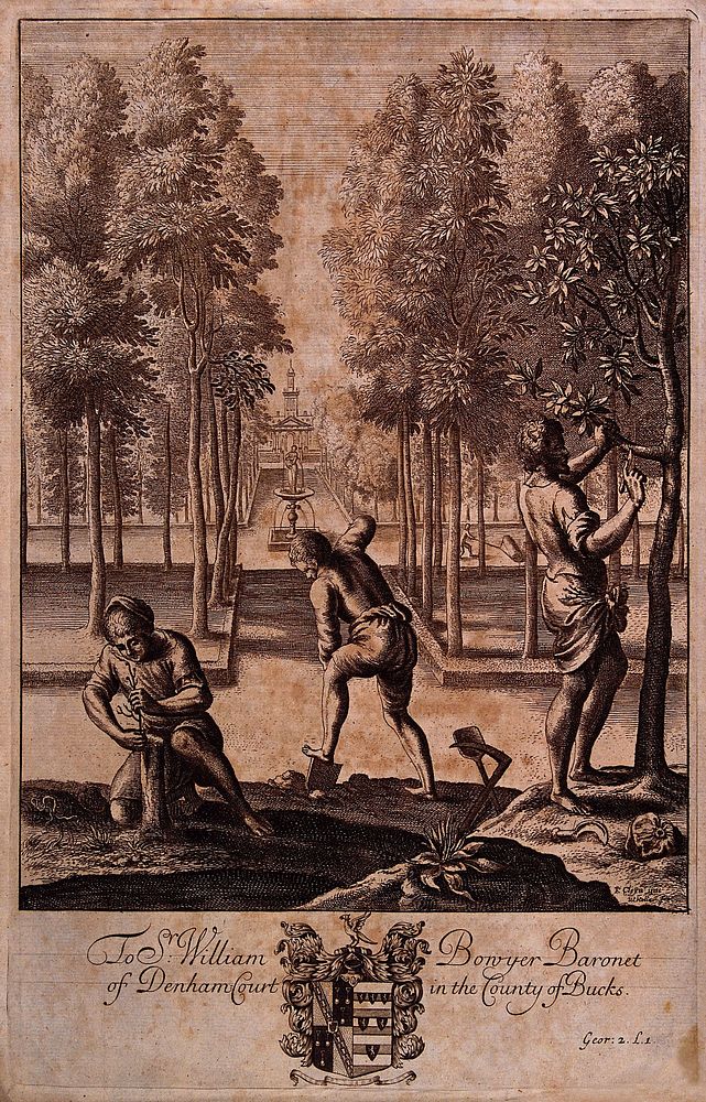 Gardeners at work in the gardens of Denham Court, Buckinghamshire. Engraving by W. Hollar, 17th century, after F. Cleyn.