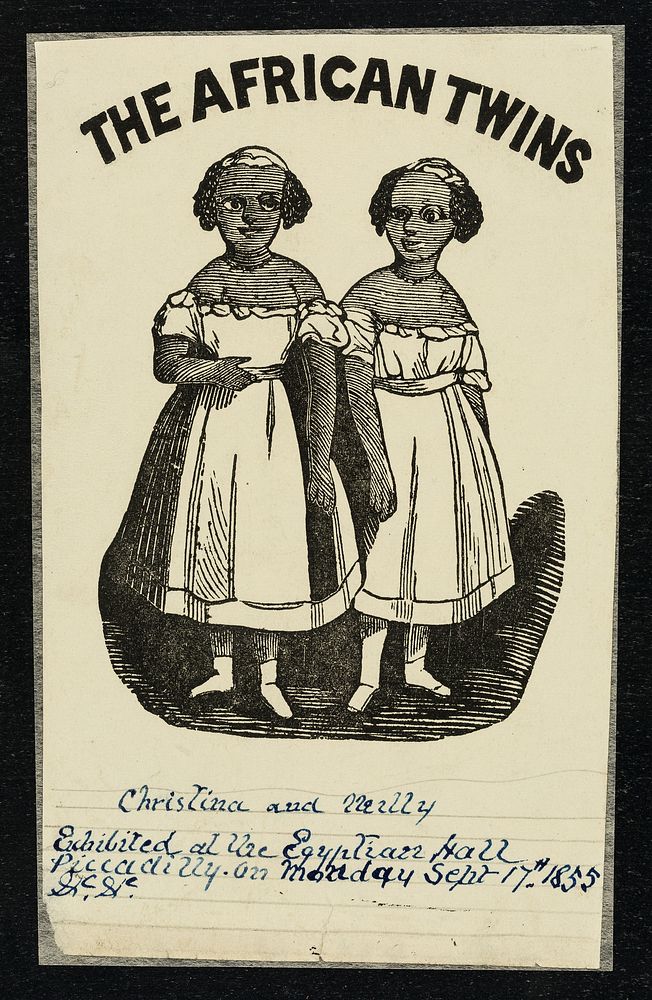 [Small print (1860) of Christina and Millie McCoy, 'The African Twins' (or Two-Headed Nightingale) conjoined twin girls…