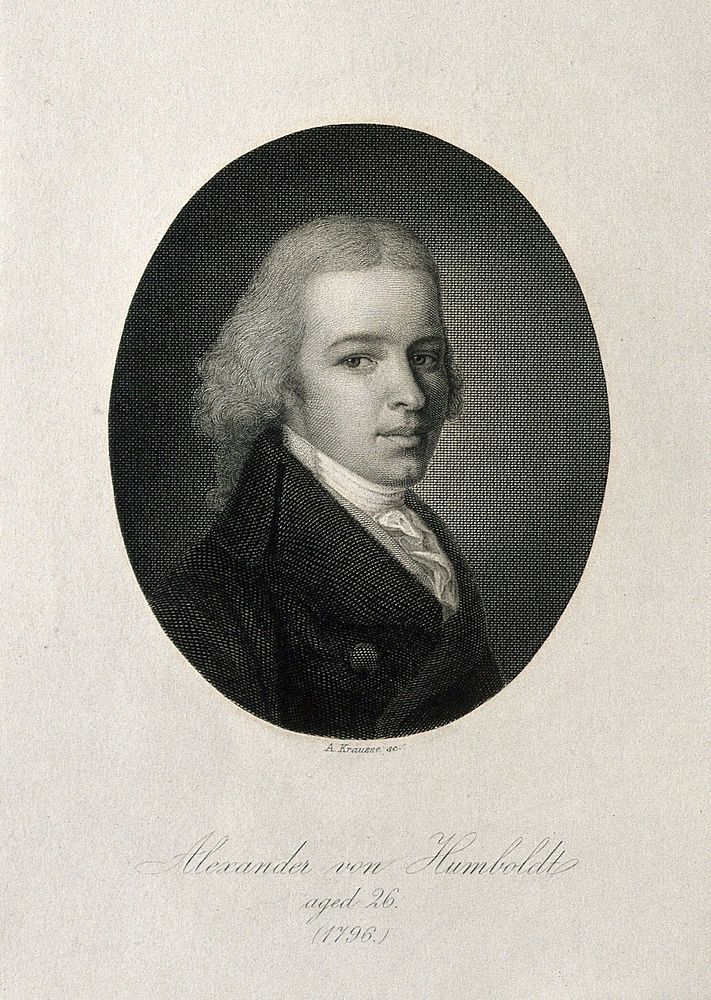 Friedrich Heinrich Alexander von Humboldt. Line engraving by A. Krausse.