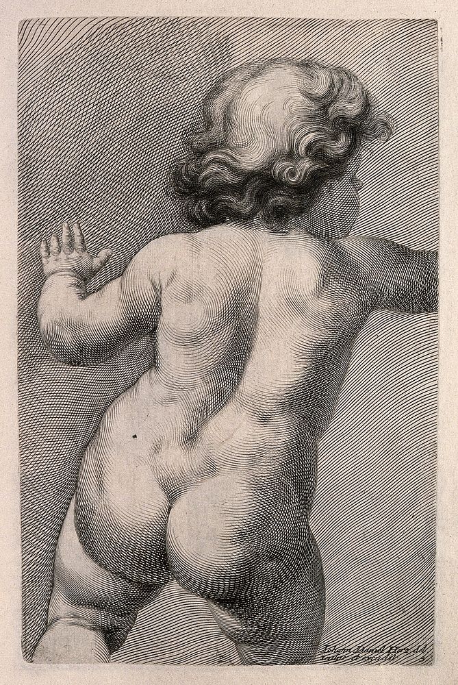 Back of a naked child. Engraving by J.D. Herz after himself, c. 1732.