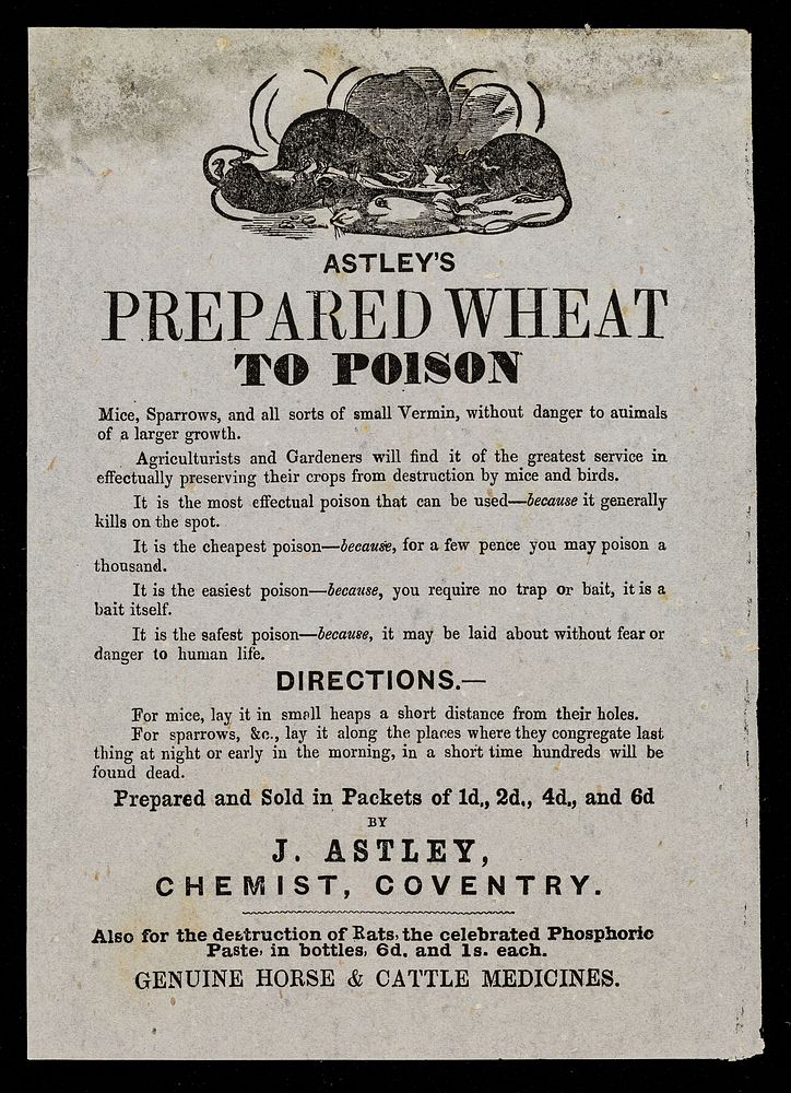 Astley's prepared wheat : to poison mice, sparrows, and all sorts of small vermin, without danger to animals of a larger…