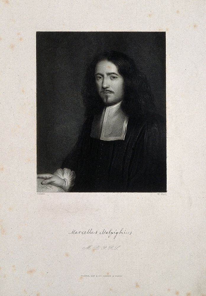 Marcello Malpighi. Stipple engraving by W. Holl after Tabor's [].