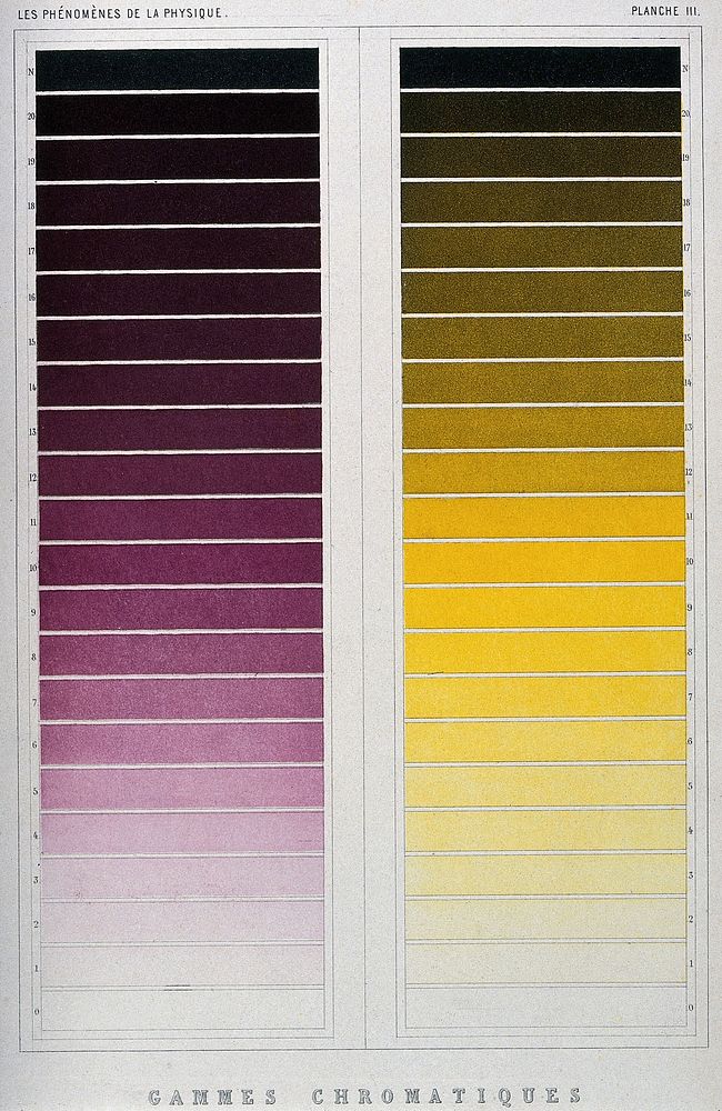 Optics: colour scales for violet and yellow. Colour mezzotint [] by R.H. Digeon, ca. 1868, after J. Silbermann.