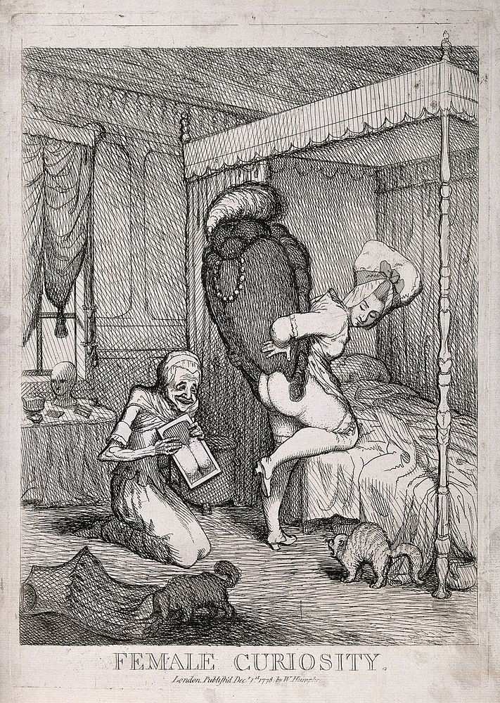 A young woman in her bed chamber trying a wig on her bottom for effect: her maid-servant holds a mirror for her and sniggers…