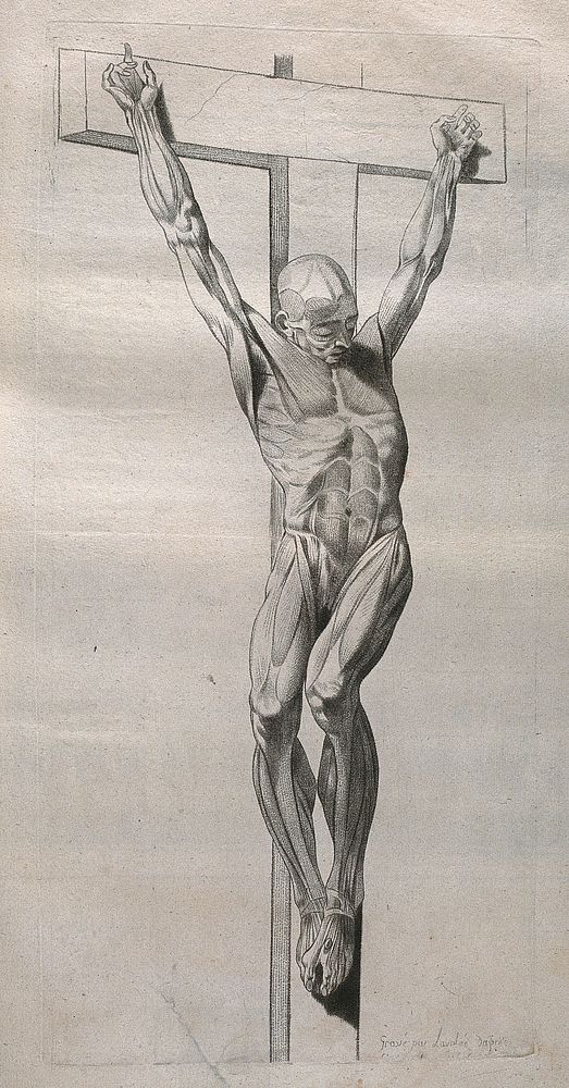 A crucified écorché figure. Stipple print by Lavalée after J. Gamelin, 1778/1779.