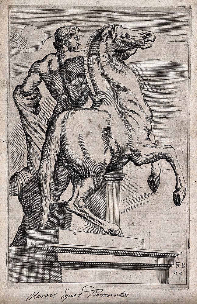 A horse-tamer. Etching by F. Perrier, 1638.