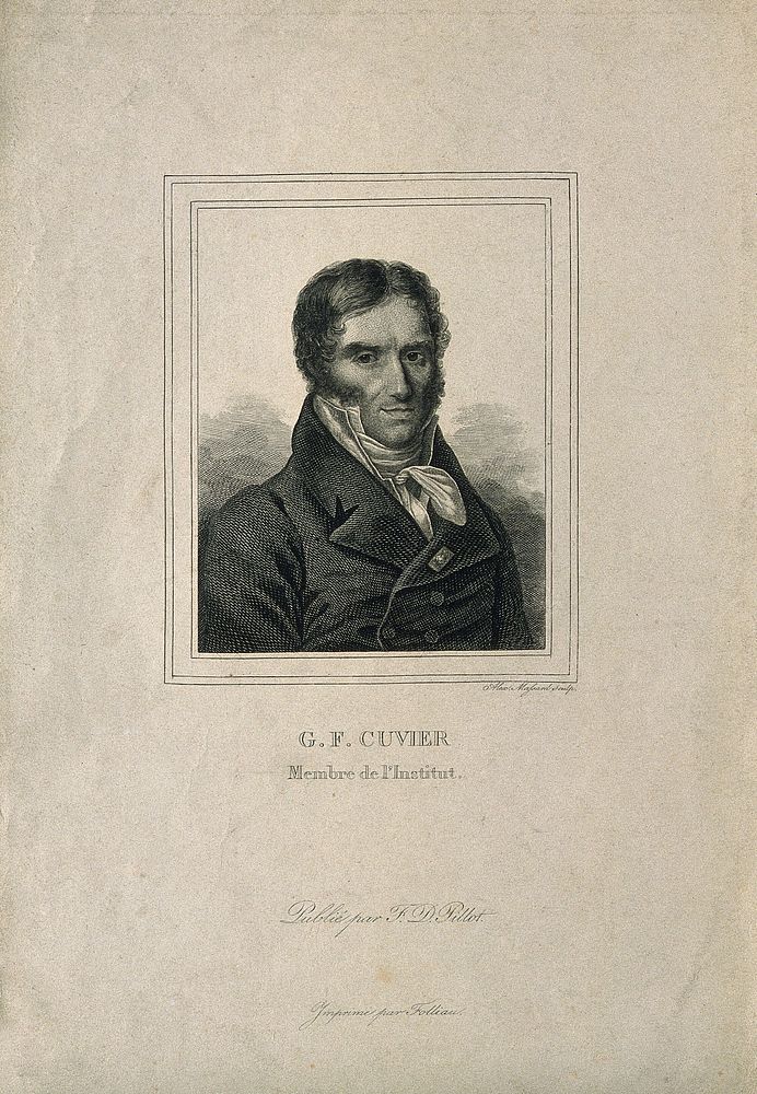 Georges-Léopold-Chrétien-Frédéric-Dagobert, Baron Cuvier. Line engraving by A. Massard.