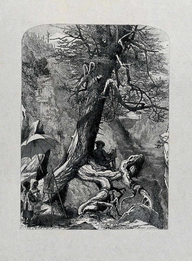 An artist seated at the base of a tree sketching a valley between mountains. Wood engraving by H. Linton.