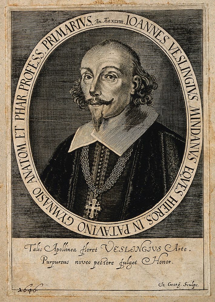 Johann Vesling. Line engraving by J. Georgi, 1647.