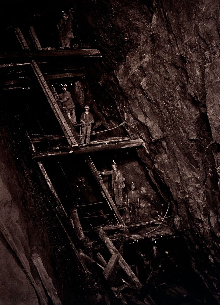 Dolcoath tin mine, Camborne, Cornwall: miners in a mine shaft, standing on wooden platforms connected by ladders. Photograph…