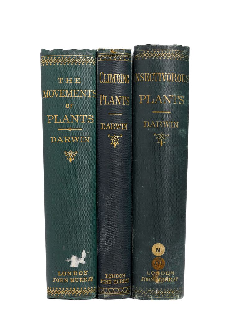 borrow the power of movement in plants