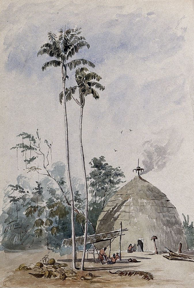 Indian hut with palm trees in Guyana. Watercolour after C. Goodall, 1846.