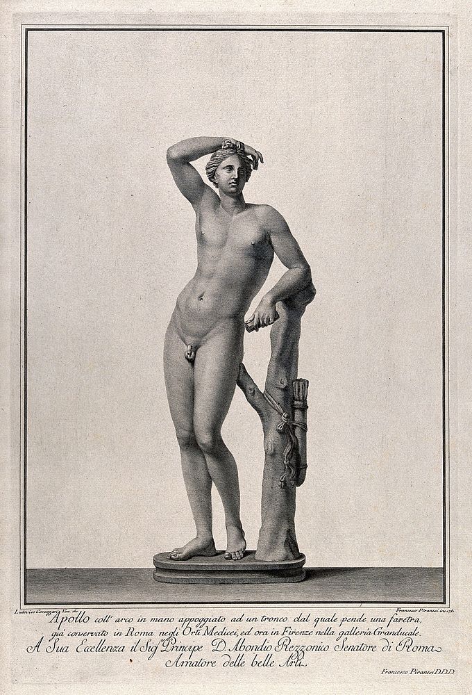 Apollo: the Apollino or Medici Apollo. Engraving by F. Piranesi, 1781, after L. Corazzari.