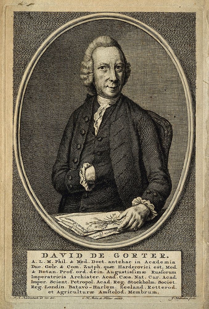 David de Gorter. Line engraving by J. Houbraken after J. A. Kaldenbach.
