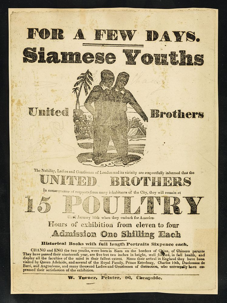 [Leaflet advertising appearances by Siamese Youths, united brothers Chang and Eng at 15 Poultry, London].