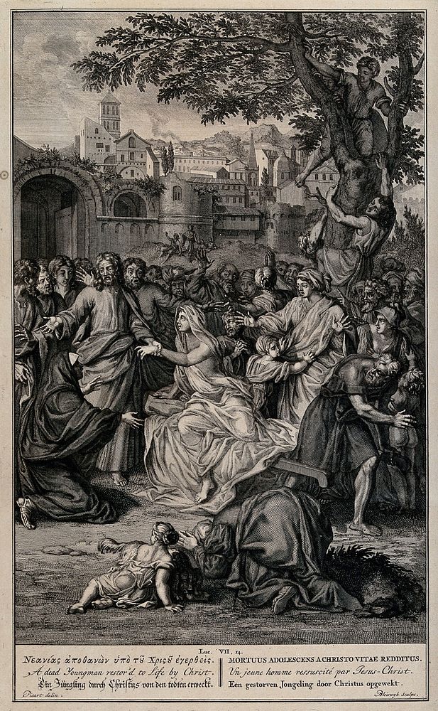 Christ resurrecting the young man. Engraving by Bleiswyk after Picart.