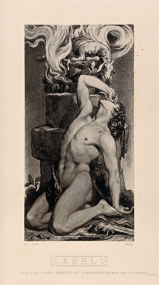 Abel sits distressed beside his thankless sacrifice. Autotype after F.J. Shields, 1877.