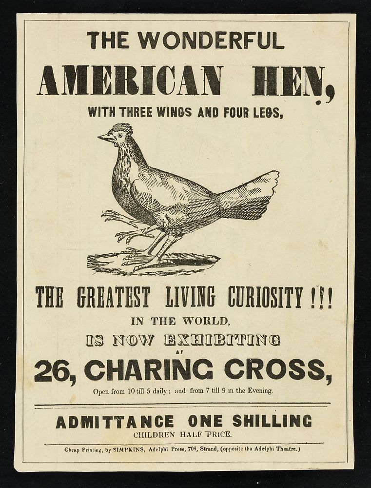[Undated leaflet about The Wonderful American Hen with three wings and four legs, to be seen at 26 Charing Cross, London].