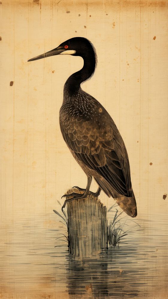 Japanese wood block print illustration of cormorant animal bird beak.