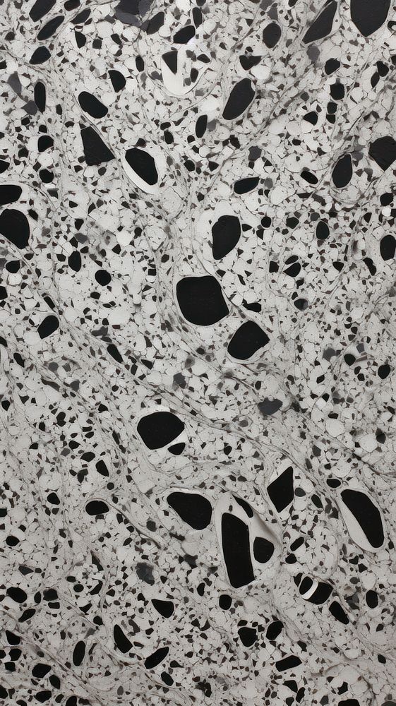 Black and white terrazzo with some paint on it backgrounds monochrome textured.