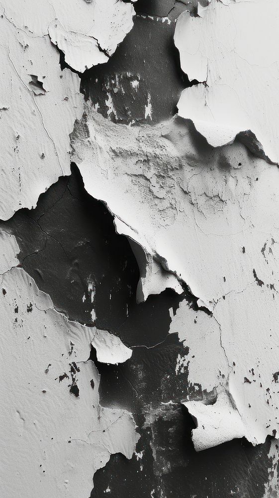 Black and white with some paint on it rough wall deterioration.