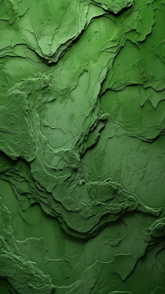 Green algae leaf backgrounds.