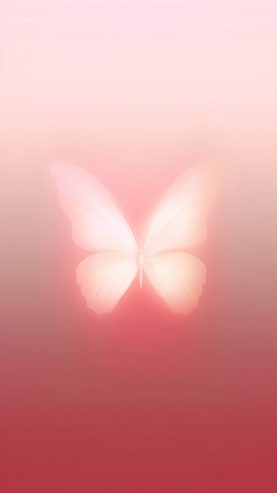 Blurred gradient white butterfly petal light pink.