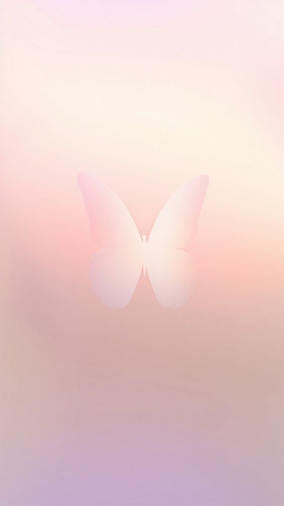 Blurred gradient white butterfly backgrounds outdoors nature.